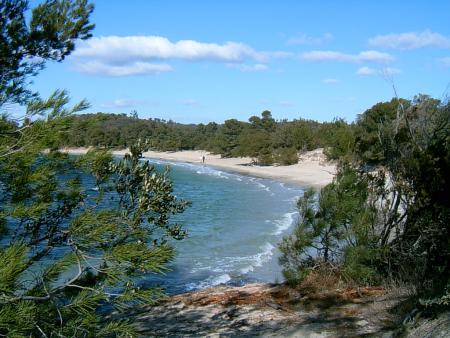 BORMES-LES-MIMOSAS (plage du Pellegrin)