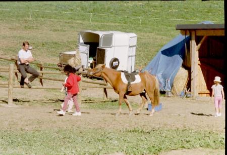 Stage d' Equitation