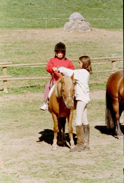 Stage d' Equitation (suite)